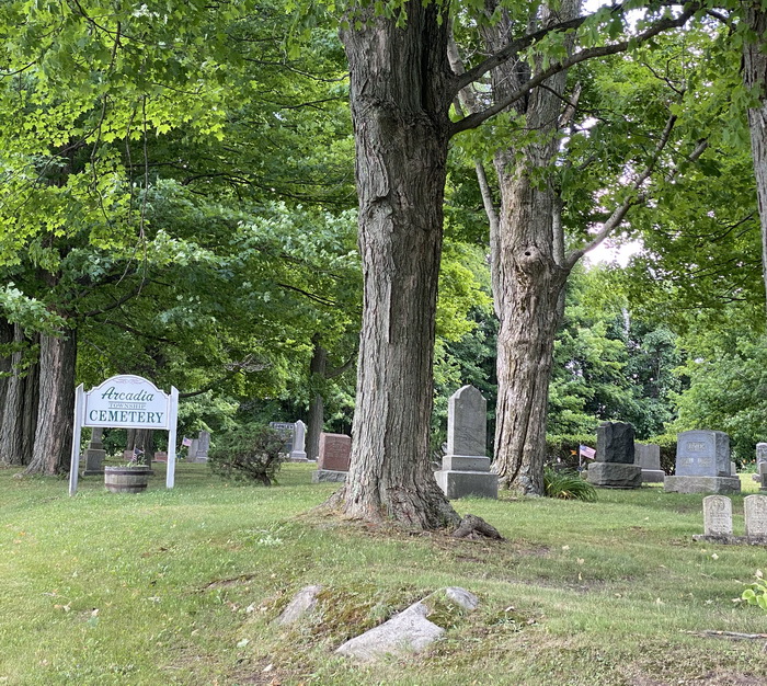 Lum - June 2020 Arcadia Twp Cemetery (newer photo)